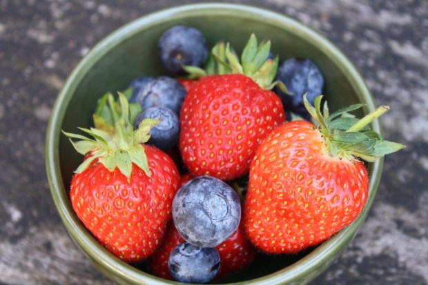 White chocolate berry tart recipe wish to dish (3)