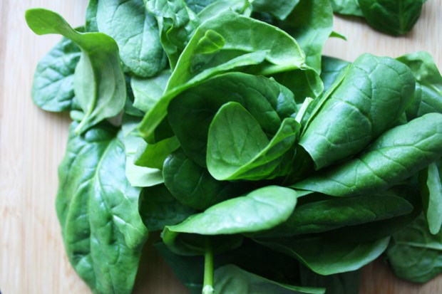 wish to dish bianca pizza recipe