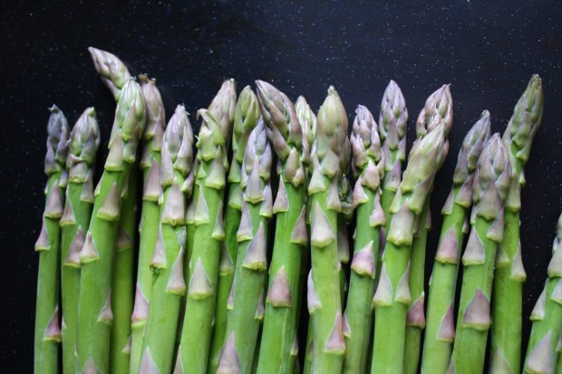 wish to dish pesto asparagus and eggs recipe (2)