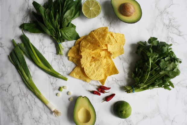 Salsa verde chicken nachos wish to dish recipe (3)