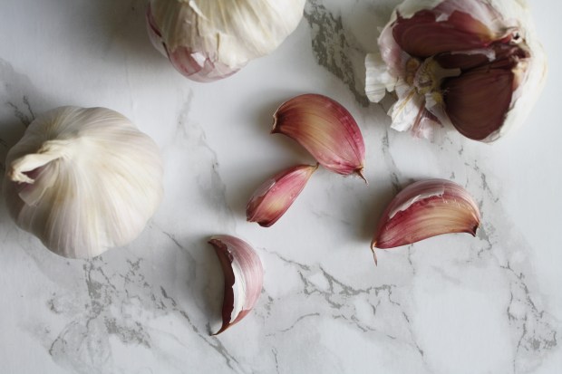 sage and brown butter pork chops with a parmesan mash wish to dish recipe (11)