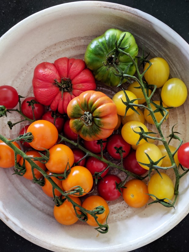 Easy Chicken parmigiana 2